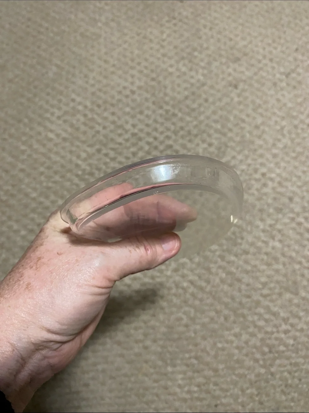 Skip Hop activity center clear view panel, plastic snack tray replacement panel